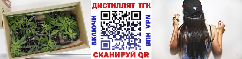 ТГК вейп с тгк  Хотьково 